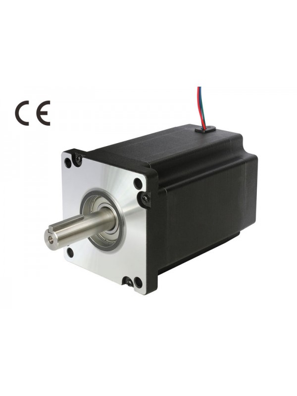 2S110Q-03999 Two-Phase Stepper Motor