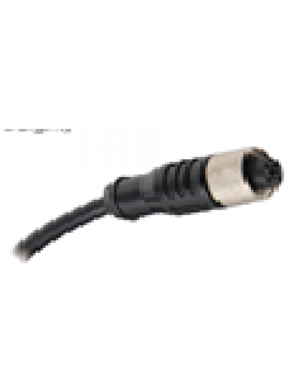 M12 Plug