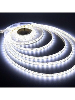 شريط LED أبيض مقاوم للماء بطول 10 متر